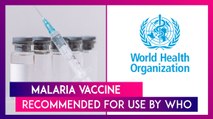 Malaria: Vaccine Developed By Oxford University & Serum Institute Of India, Recommended By WHO