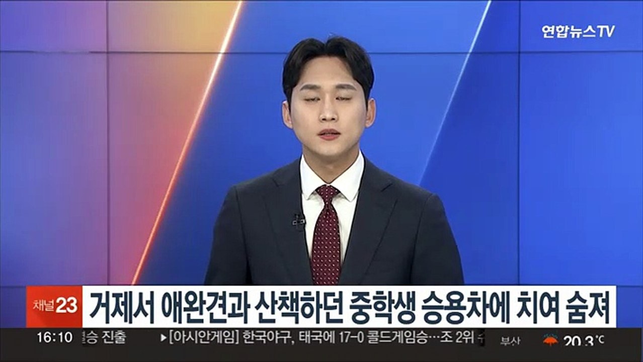 거제서 애완견과 산책하던 중학생 승용차에 치여 숨져