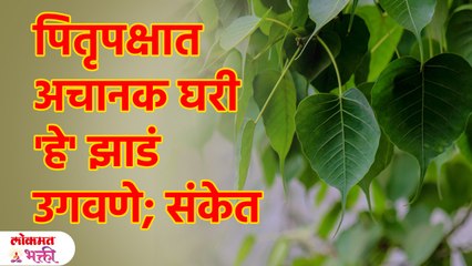 पितृपक्षात 'या' गोष्टींतून मिळतात संकेत; भेटायला येतात पितर | Pitru Paksh 2023 | SG3