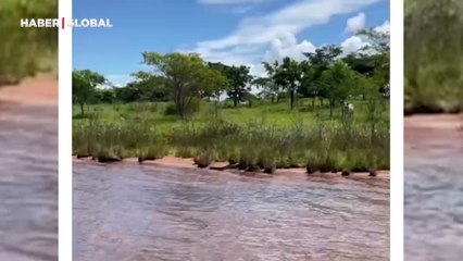 Devasa anakonda kendinden küçük anakondayı öldürmeden yutunca, başına gelenler onu da şoke etti