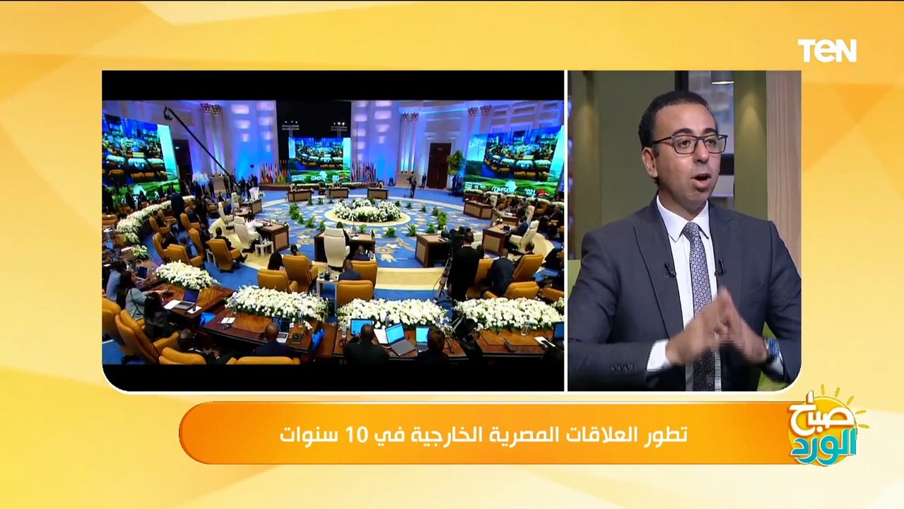 باحث سياسي: الحياد الإيجابي في السياسة الخارجية المصرية عصمت مصر من الدخول في أي مغامرات