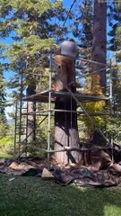 Timelapse de sculpture d’ours