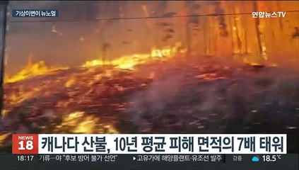 한여름 폭설·한겨울 폭염…일상이 된 기상이변