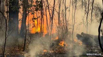 Australia, gli incendi devastano varie aree a sud-est