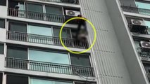 아파트 10층 난간 앉아있던 치매 의심 90대 구조 / YTN