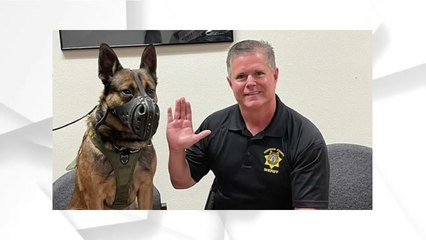 Idaho Sheriff Won’t Return Library Books He Thinks Are Obscene