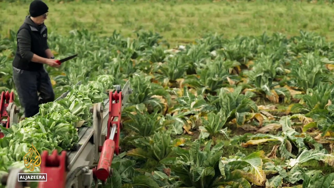 Sleepless Birds: Light pollution exposed