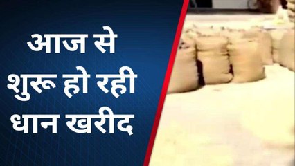 बरेली: 151 क्रय केंद्रों पर आज से धान खरीद शुरू