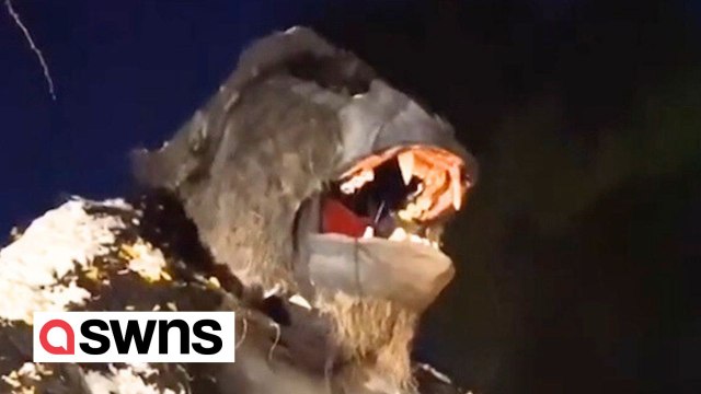 Dad builds giant Halloween installations every year in his front yard