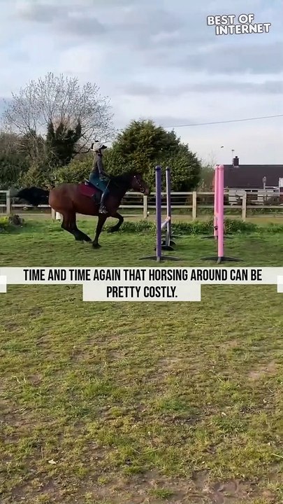 Epic Show-Jumping Fail Turns into a Wild Ride! || Best of Internet