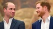 Harry and William rift claims destroyed by expert - princes just had a 'disagreement'