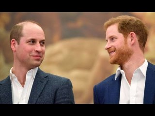 Harry and William rift claims destroyed by expert - princes just had a 'disagreement'