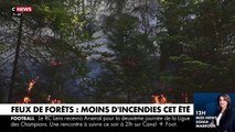 Feux de forêts: La France relativement épargnée par les incendies de l’été par rapport à l'an dernier malgré un nombre élevé de départs de feux - VIDEO