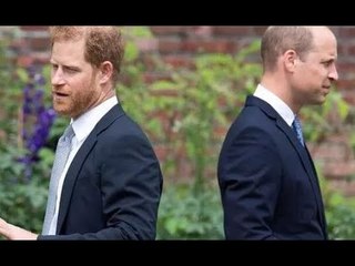 Harry ha suggerito di "peggiorare le cose" e di gettare Kate e William sotto l'autobus nella fila re
