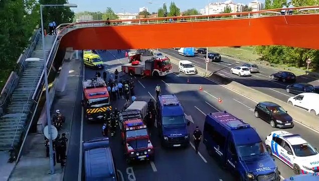 Jovens ativistas retirados pela PSP e bombeiros com recurso a grua