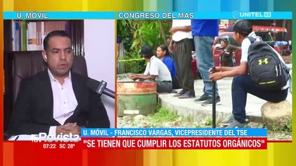 “El estatuto del MAS (del 2021) está plenamente vigente”, dice vicepresidente del Tribunal Electoral