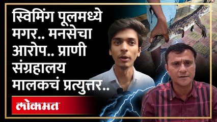 स्विमिंग पूलमध्ये मगर.. मनसेचा आरोप.. प्राणी संग्रहालय मालकचं म्हणणं काय? Crocodile in Pool | HA4