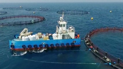 قطر.. المواءمة بين مشاريع باستثمارات كبيرة ومتطلبات الاستدامة