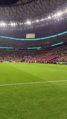 Richarlison Goal | Best Goal | Football video