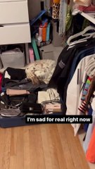 Anitta se desespera ao ver cachorro dentro de mala: "Não posso levar"; assista