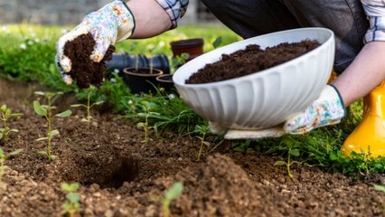 Los Mejores Consejos Para Cuidar Tu Jardín En Invierno