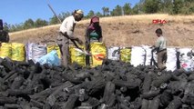 Des familles d'Erzincan produisent du charbon de bois à partir de bois de chêne