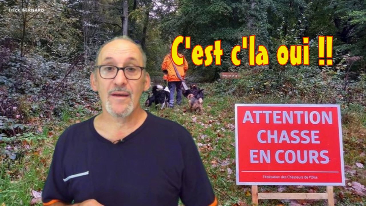 La chasse à la perdrix