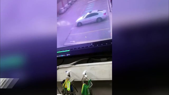 Kamyonetle köpeğin üzerinden geçti, görüntüler infial yarattı