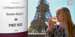 IGP Île-de-France : une renaissance embryonnaire des vins franciliens