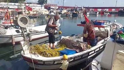 Marmara Denizi'nde Hamsi Bolluğu