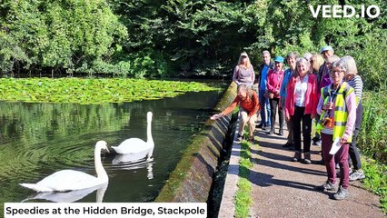 Steps2Health Walkers in September 2023