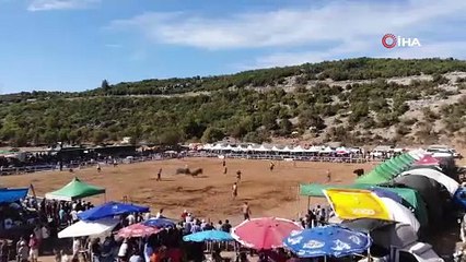 OSMANLI’DAN GELEN YÖRÜK GELENEĞİ, ‘BOĞA GÜREŞİ