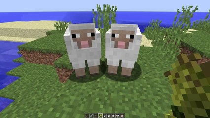 Minecraft En Büyük Hayvan Hataları