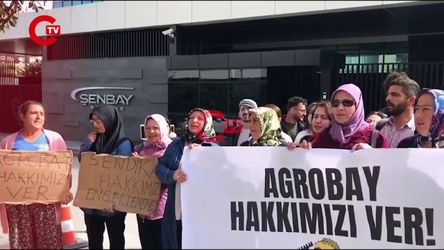 Haksız yere işten çıkarılan Agrobay işçilerinin direnişi 48. gününde sürüyor