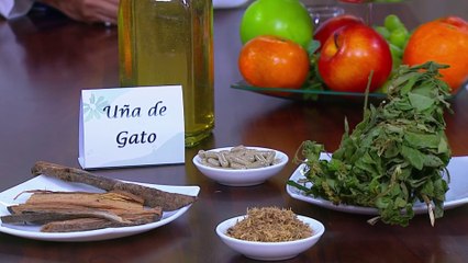 bd-plantas-y-suplementos-para-fortalecer-las-defensas-031023