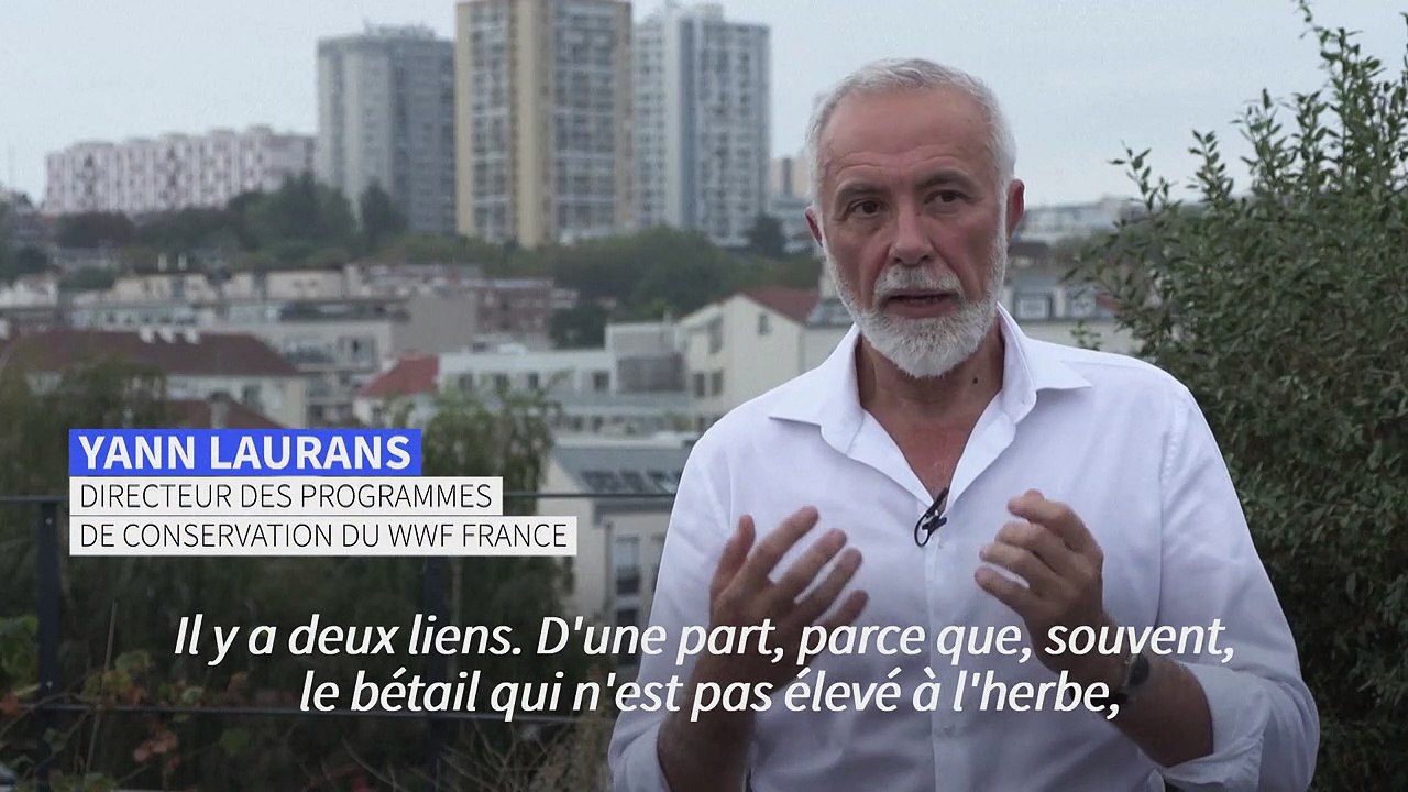Climat : réduire sa consommation de viande pour limiter la déforestation (WWF)