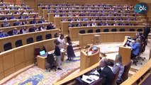 El PP retrata al PSOE: el Senado rechaza la amnistía con el voto en contra de los socialistas