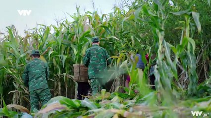 Cuộc chiến không giới tuyến Tập 16 - VTV  Giải trí