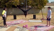 The Painful World of Aerial Silks (335)