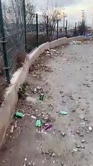 Calles sin barrer en Siete Palmas