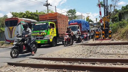 Wadidaw truk tangki, truk trailer, truk molen, kereta api berubah jadi frank teman tayo