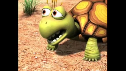 The Best of Tortoise - Jungle Beat Compilation [Full Episodes]