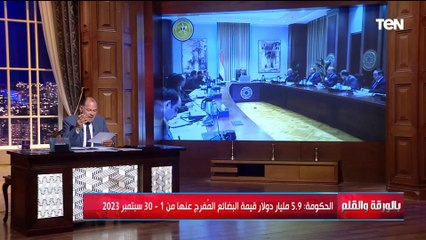 الحكومة تفرج عن بضائع بقيمة 5.9 مليار دولار من 1-30 سبتمبر 2023.. المستشار سامح الخشن يكشف التفاصيل