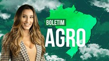 Novo ciclone no Sul do BR prejudica trigo, arroz e atrasa plantio