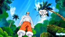 One Piece / officiel