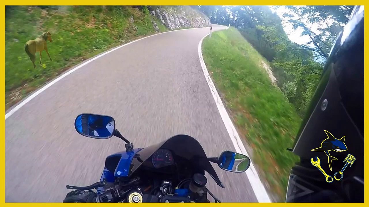 Guidare In Veneto... pt 5