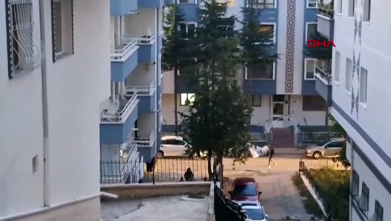 Une jeune fille s'est suicidée en poignardant à mort sa mère après que celle-ci lui ait dit : « Tu ne rencontreras pas ton petit ami ! Il ne reste qu'une note d'une phrase.