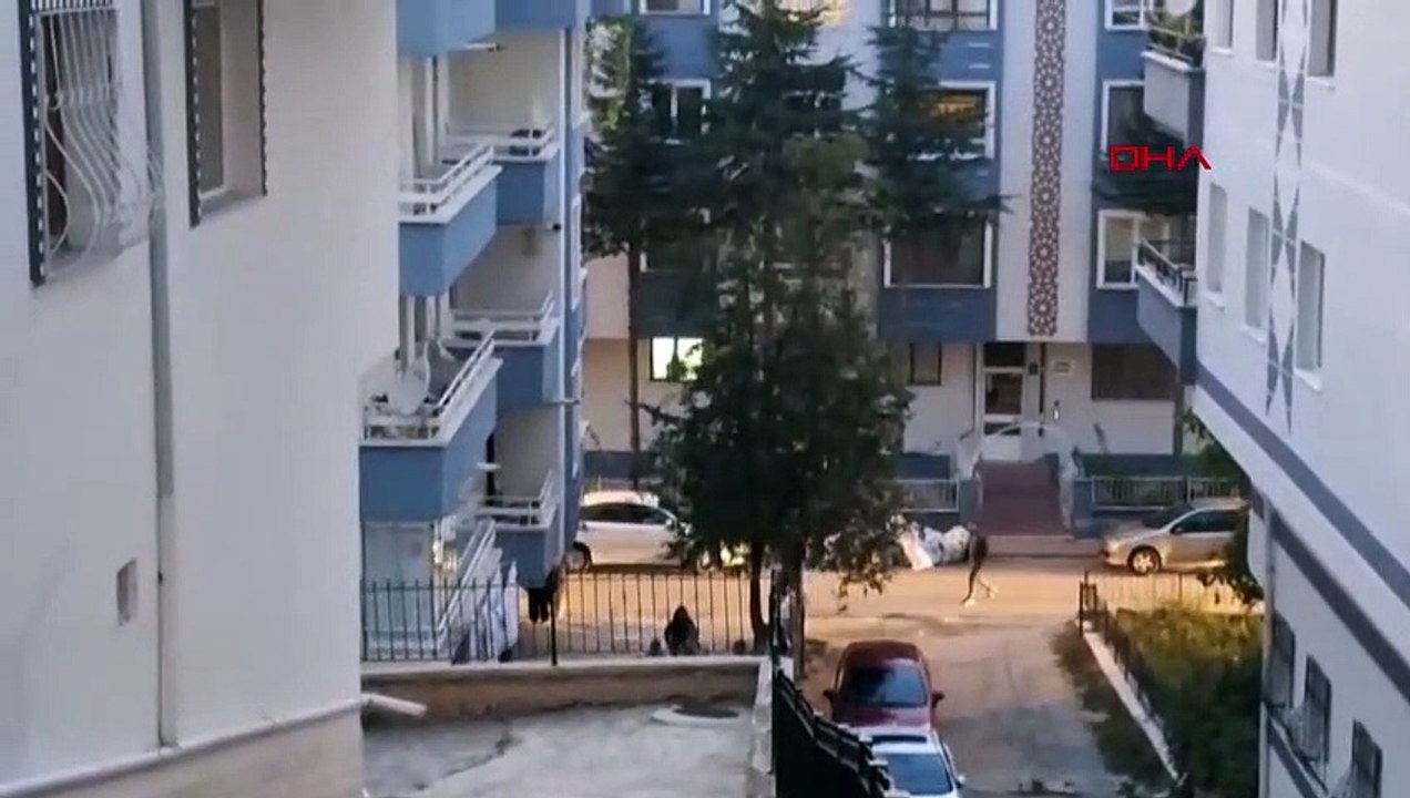 Elle a tué sa mère, qui ne voulait pas qu'elle rencontre son petit ami, et s'est suicidée.