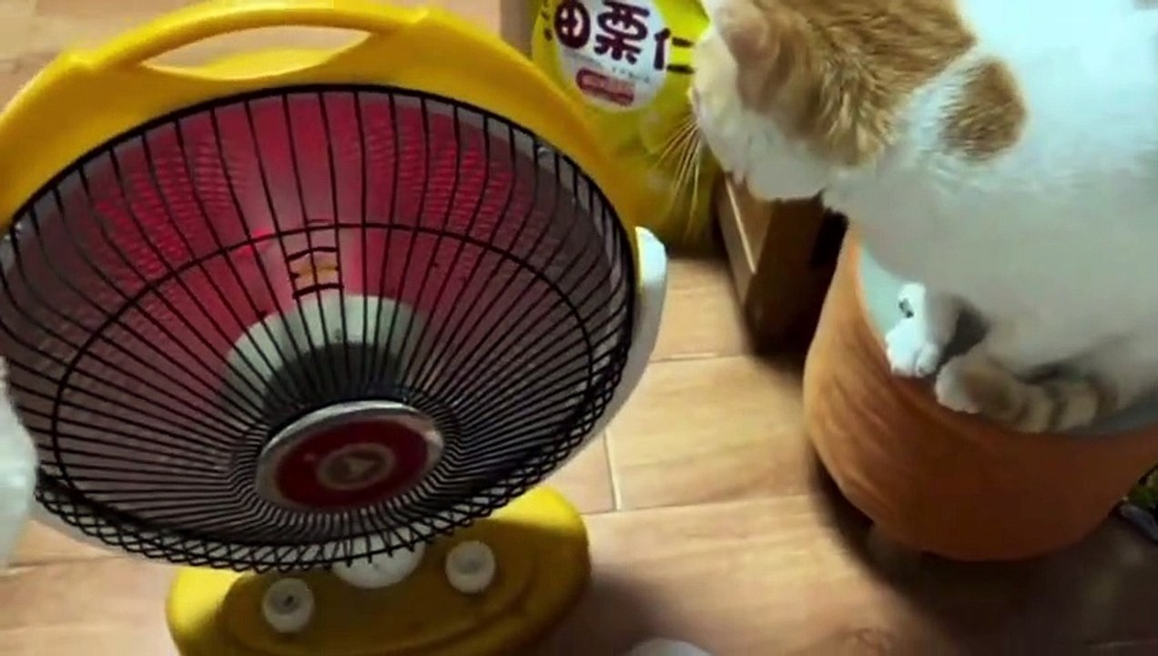 #viralreels ,#reelsfb ,#2023challenge, #vibes ,#clips ,#funnyvideos ,#video ,#latest ,#viralvideo ,LolComedi