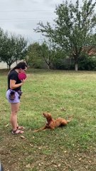 Le lancer de frisbee va dans le mauvais sens